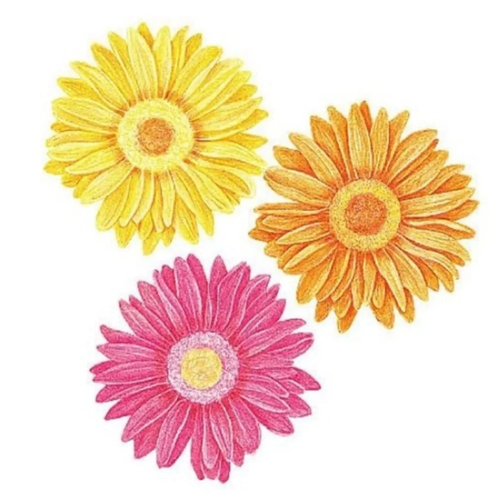 New 🌺 25 Gebera Daisy Decorations 🌺